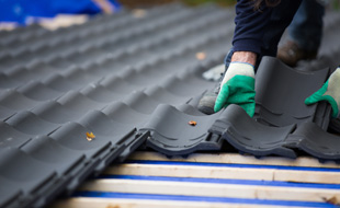 简介PG赏金女王